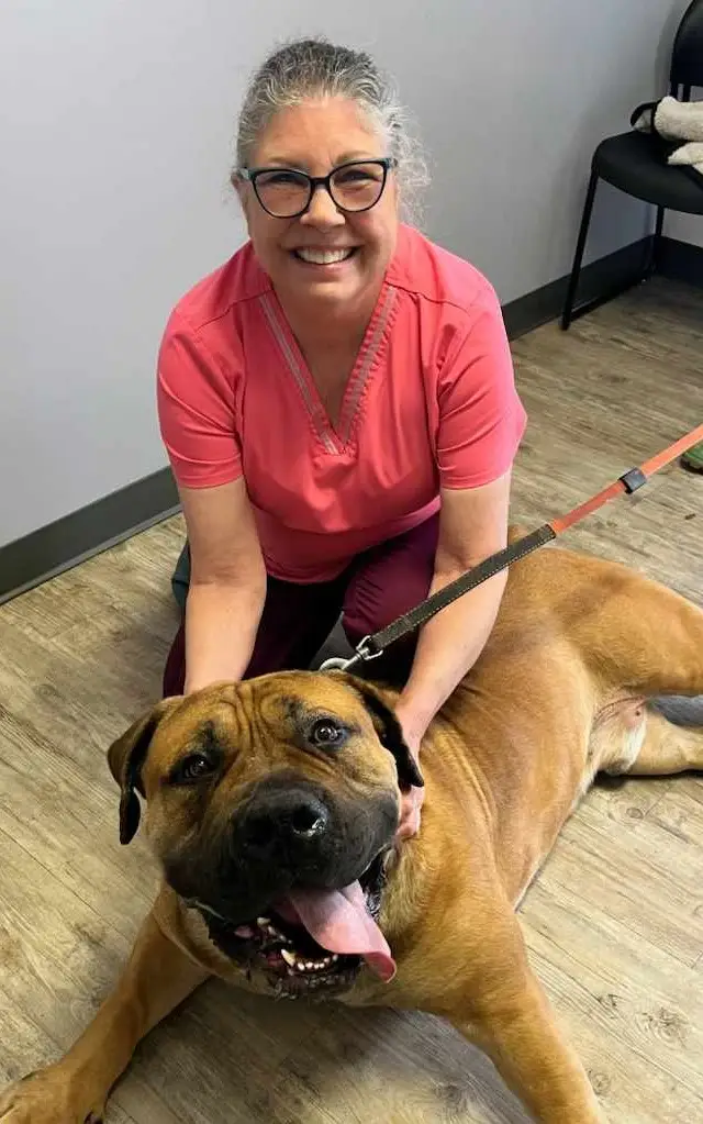 Dr. Cathy Connelly of Lake Forest Animal Hospital